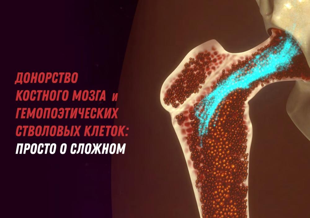 Донорство костного мозга и гемопоэтических стволовых клеток